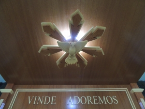 DSCN6852